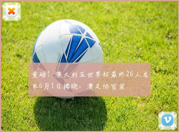 重磅！澳大利亚世界杯最终26人名单6月1日揭晓，澳足协官宣