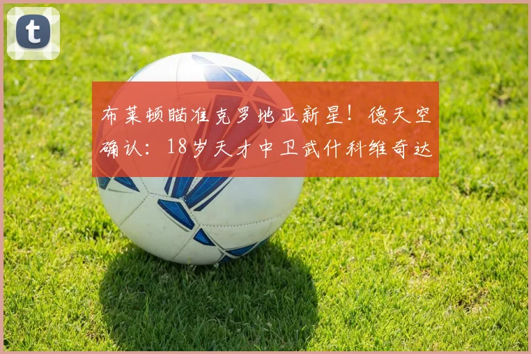 布莱顿瞄准克罗地亚新星！德天空确认：18岁天才中卫武什科维奇达成2026年口头协议